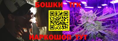 гашик Тула