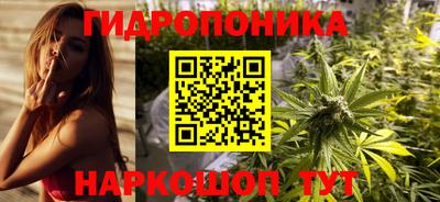 гашик Тула