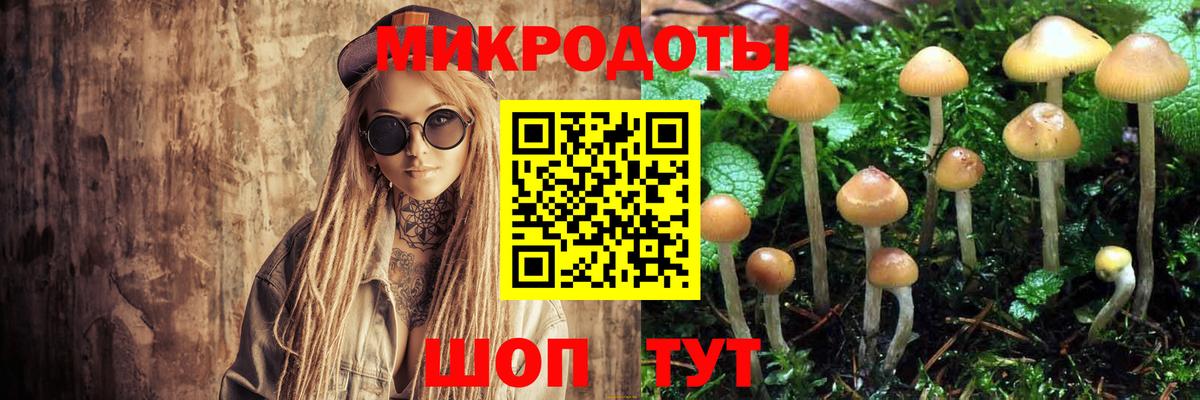 Галлюциногенные грибы мухоморы  Вход с VPN  Галлюциногенные грибы Psilocybine cubensis  Норильск 
